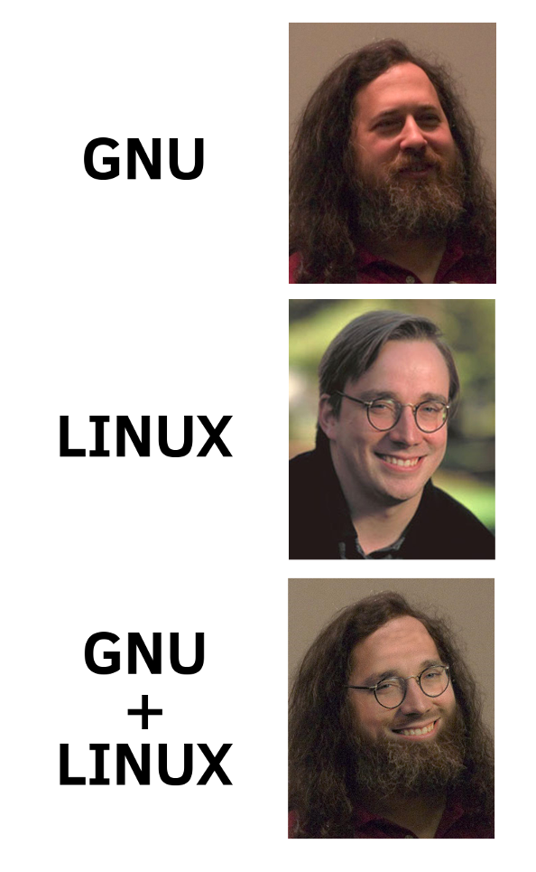 GNU + LINUX